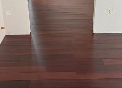 ������ ����.